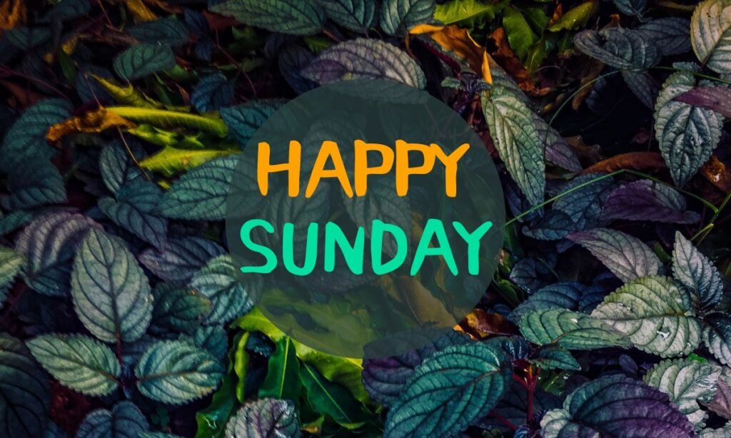 happiest sunday