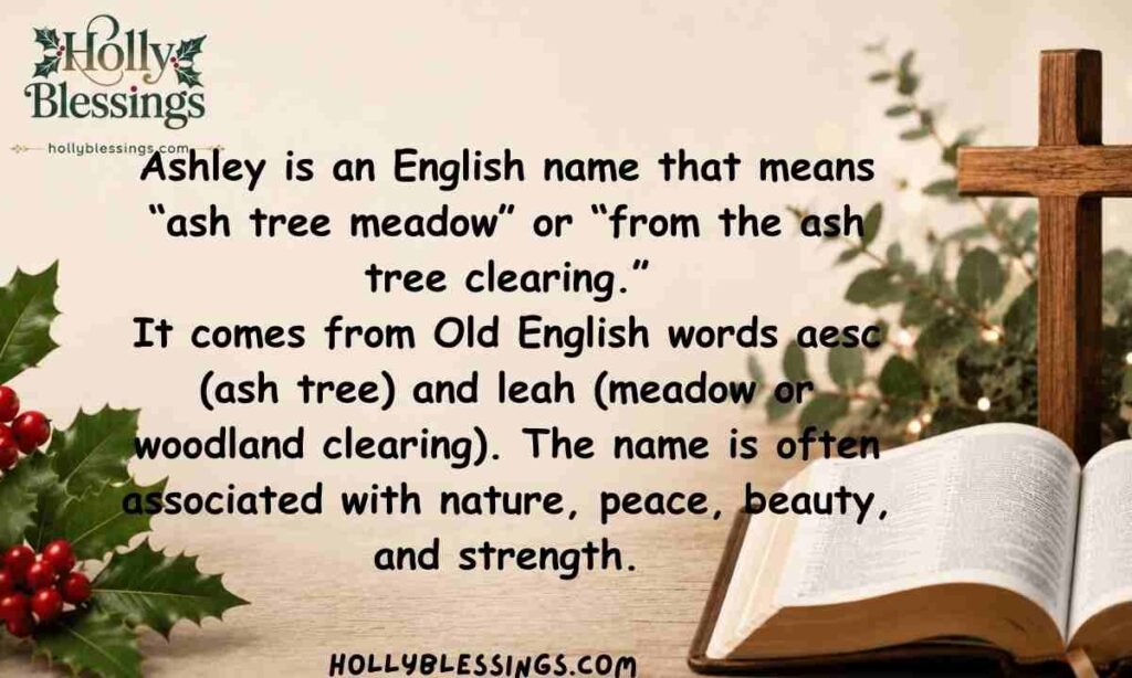 ashley name meaning_